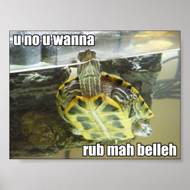 LOLturtle - rub mah belleh Poster (Framsidan)