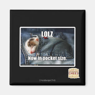 LOLZ nu i fick- format Magnet