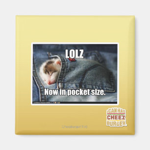LOLZ nu i fick- format Magnet
