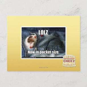 LOLZ Nu i Pocket Storlek Vykort