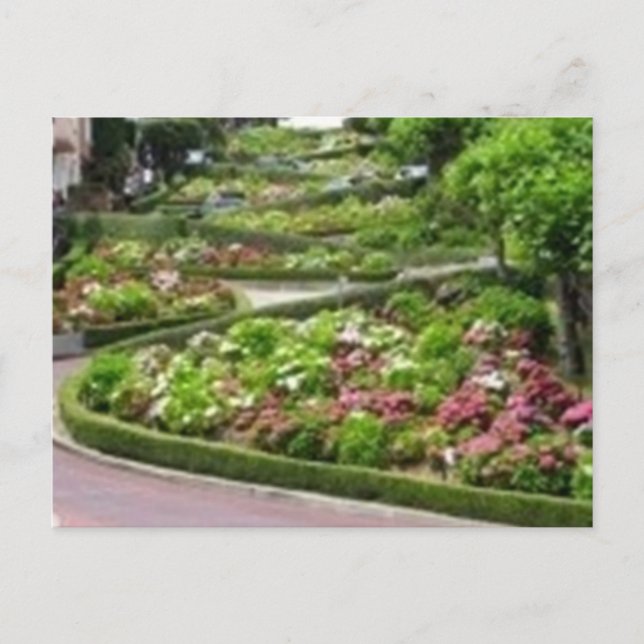 Lombardi Street i San Fransico Vykort (Framsida)