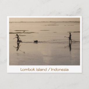 Lomboö/Indonesien monokrom bilder Vykort