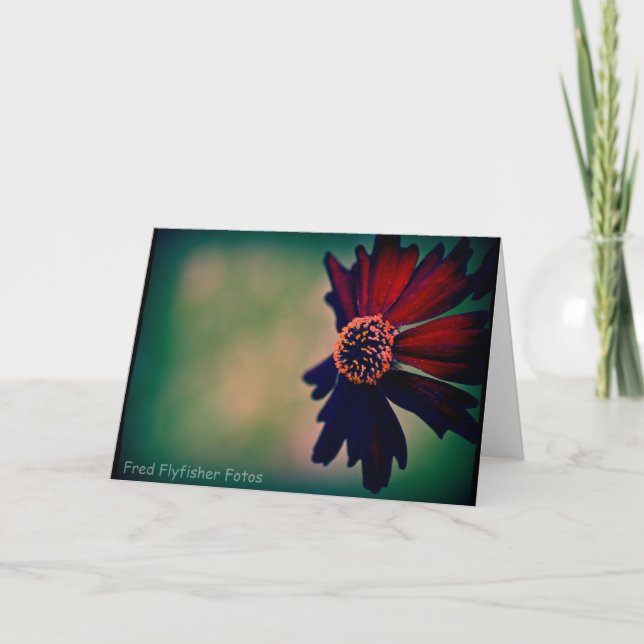 Lomo Daisy Card Kort (Framsida)