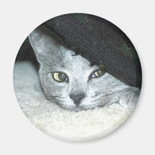 Lömsk Karma Magnet