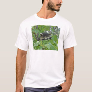 Lömsk Raccoon - ungdomT-tröja Tröja