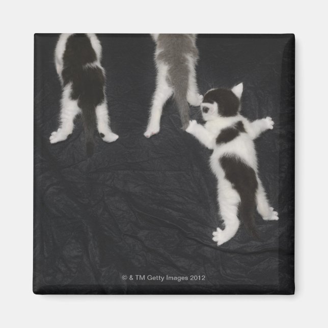 London, England, UK 2 Magnet (Framsidan)