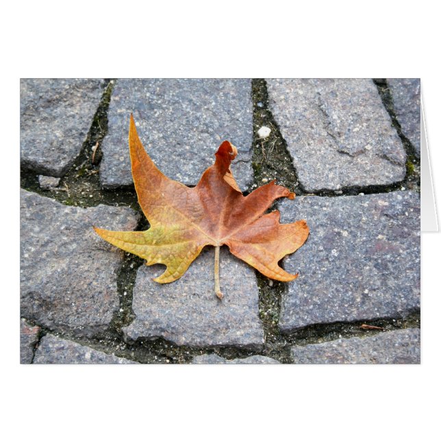 London Flygplan Träd Löv Hälsningskort (Framsidan Horizontal)