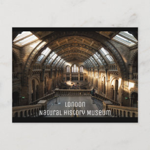 London - Naturhistoriemuseum Vykort
