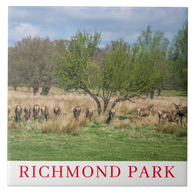 London Richmond Park hjort keramisk panel Kakelplatta (Framsidan)
