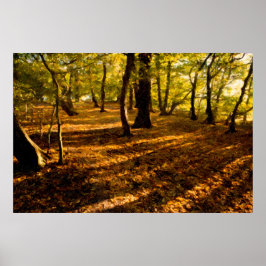 London Skogen Poster