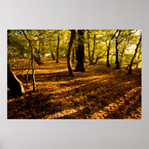London Skogen Poster