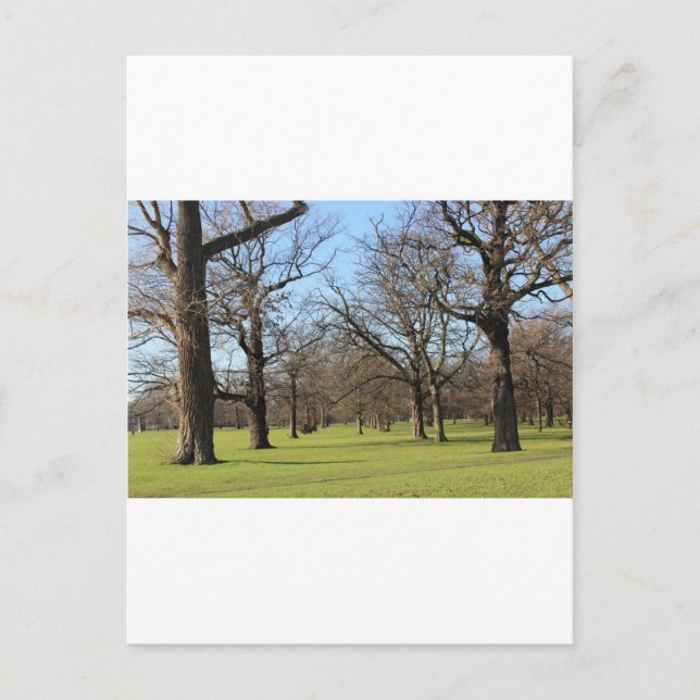 London Vykort (Framsida)