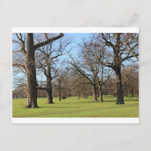 London Vykort