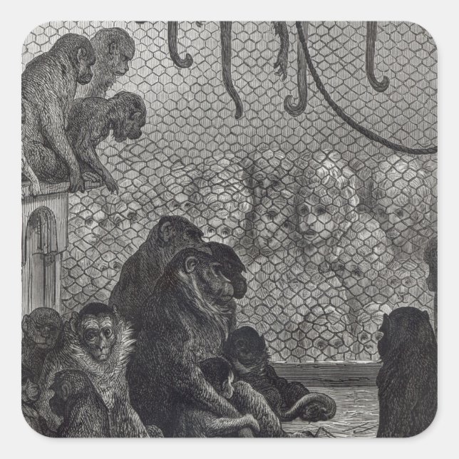 London'Monkey Fyrkantigt Klistermärke (Framsida)