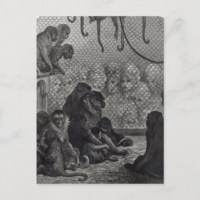 London'Monkey Vykort (Framsida)