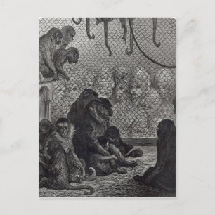 London'Monkey Vykort