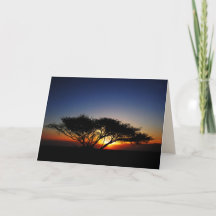 Lone Acacia at Fiery Red Sunrise, Blank Inside