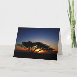 Lone Acacia at Fiery Red Sunrise, Blank Inside Kort