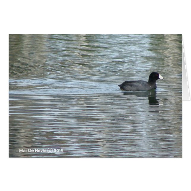 Lone Anka II Hälsningskort (Framsidan Horizontal)