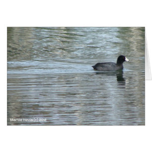 Lone Anka II OBS Kort