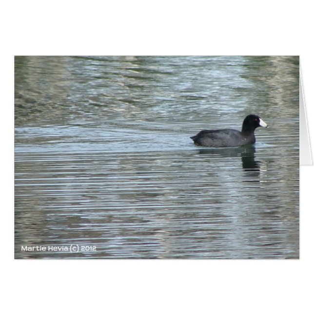 Lone Anka II OBS Kort (Framsidan Horizontal)