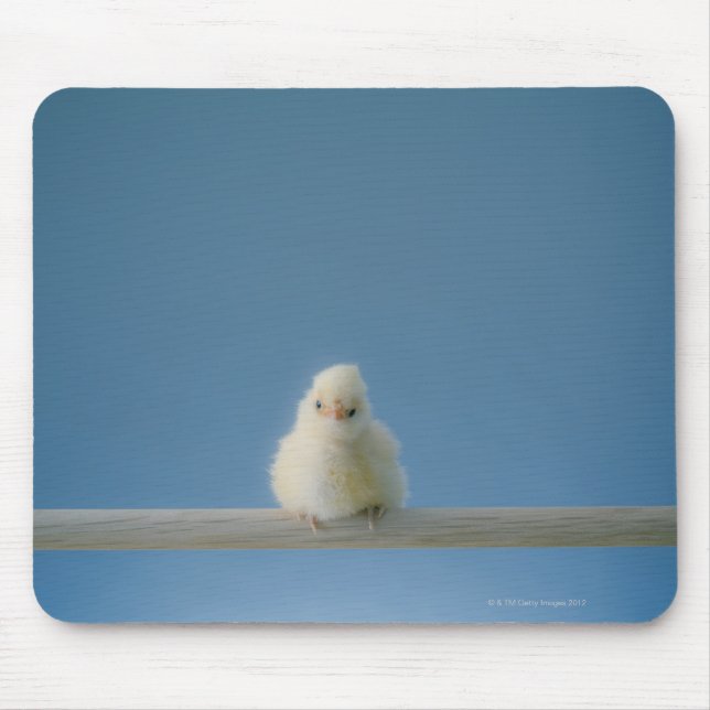 Lone Baby Pet Chicken Sitta på Perch Musmatta (Framsidan)