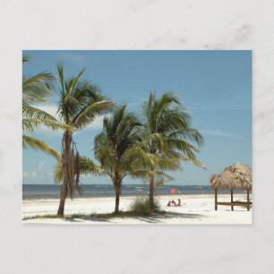 Lone Beach vid Fort Myers Beach Florida Vykort