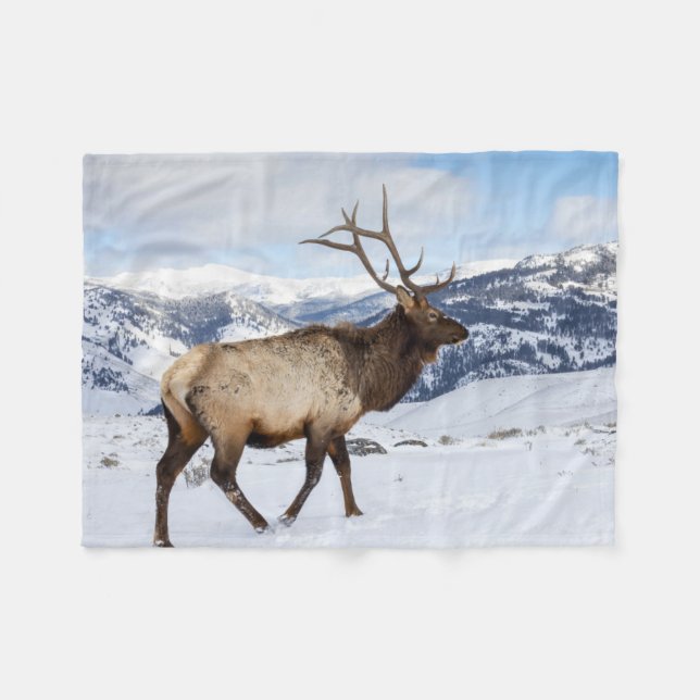 Lone Bull Elk | Yellowstone nationalpark Fleecefilt (Framsidan (Horisontell))