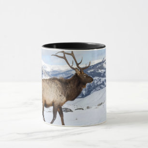 Lone Bull Elk   Yellowstone nationalpark Mugg