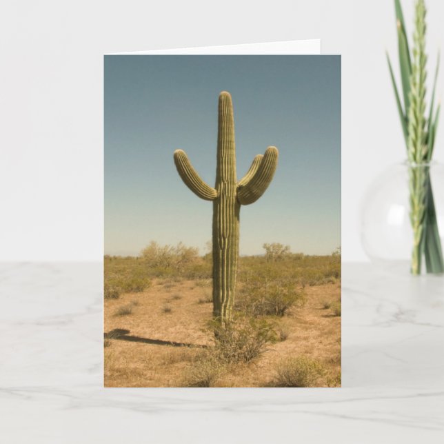 Lone Cactus Kort (Framsida)