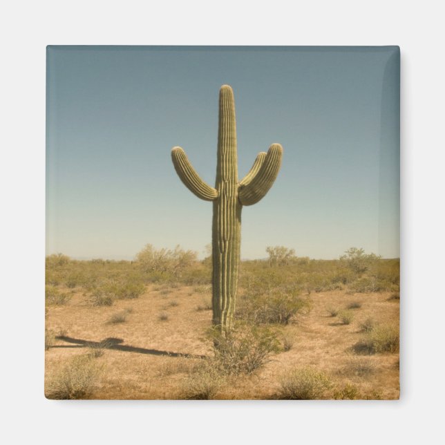 Lone Cactus Magnet (Framsidan)