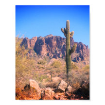 Lone Cactus Poster