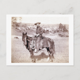 Lone Cowboy Vykort