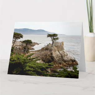 LONE CYPRESS Jumbo-hälsningskort Kort