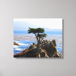 Lone Cypress, Monterey, Kalifornien Canvastryck