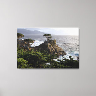 Lone Cypress - sträckt kanvastryck