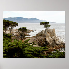LONE CYPRESS-utskrift, Poster Pappert (projektions
