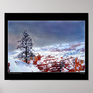 Lone Gräs i ett målat Himmel - Fin Art Poster