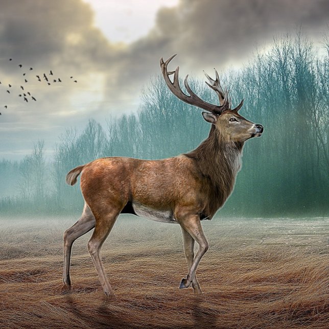 Lone Hjort in Misty Forest Kakelplatta (Skapare uppladdad)