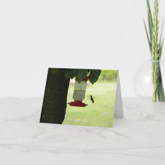 Lone Hummingbird Kort