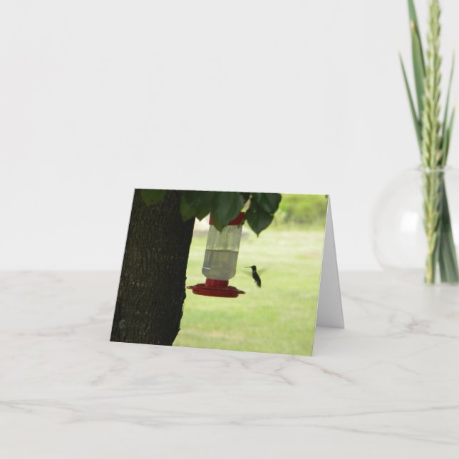 Lone Hummingbird Kort (Framsida)