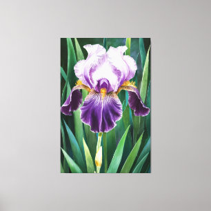 *~* Lone Iris Flower Artsy Iris Painting AP84 Canvastryck