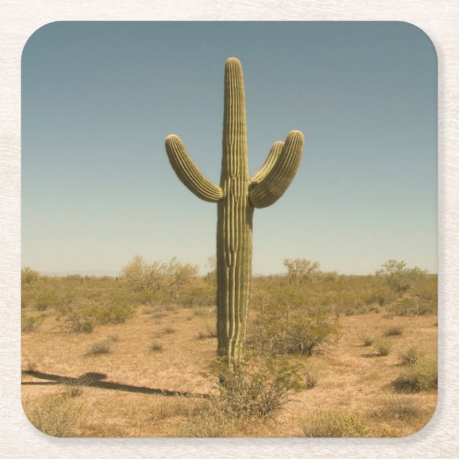 Lone kaktus underlägg papper kvadrat (Framsidan)