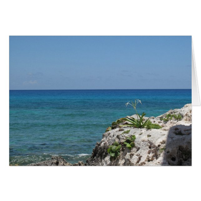 Lone Lily vid havet Hälsningskort (Framsidan Horizontal)