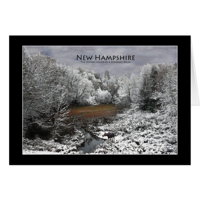Lone Moose på ett Snowy Oxbow New Hampshire Card Hälsningskort (Framsidan Horizontal)