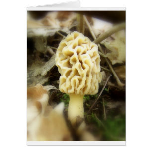 Lone Morel Hälsningskort