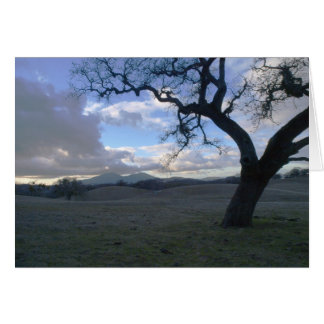 Lone Oak förbisåg Mt. Diablo in Winter OBS Kort