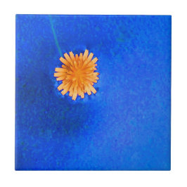 Lone Orange Flower Kakelplatta