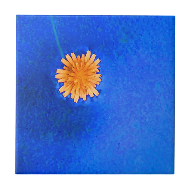 Lone Orange Flower Kakelplatta (Framsidan)