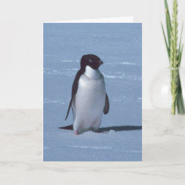 Lone Penguin i snö Tack Kort